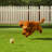 12" x 12" Artificial Grass Turf Panels