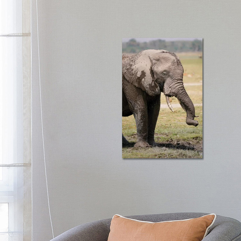 African Elephant Mud Bathing, Masai Mara, Kenya by Hiroya Minakuchi - Wrapped Canvas Print