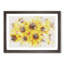Wall Of Yellow Sunflowers - Single Picture Frame Print on MDF-56882293-56882299