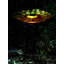 Floral Glass Solar Birdbath