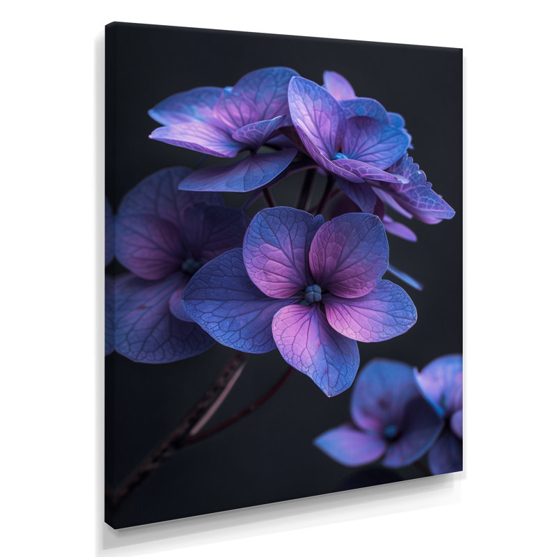 Beauté éthérée, hortensia bleu mauve, photo I - décoration murale hortensia, Toile tendue, H 16 po x l 32 po