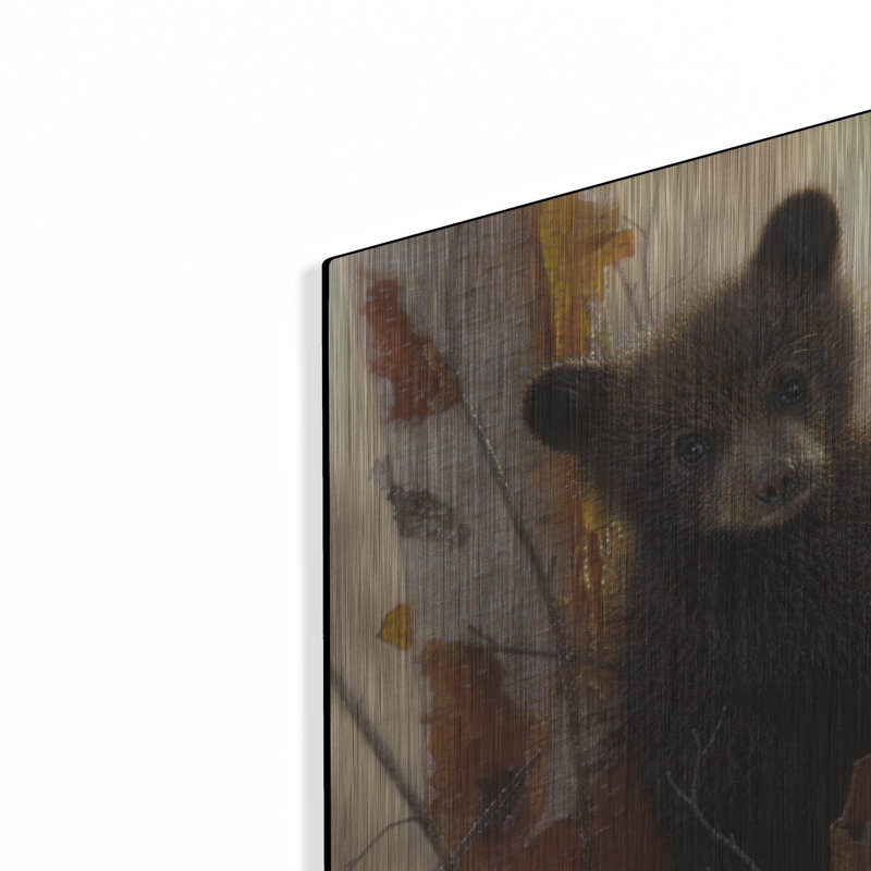 «Curious Cub I» par Collin Bogle, H 24 po x l 24 po