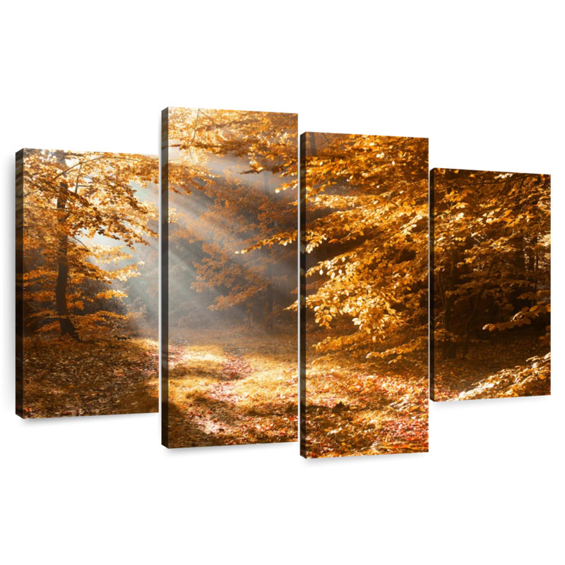 Harnek Autumn Forest Sunshine