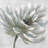 chrysanthemum - 32"x32" art on canvas