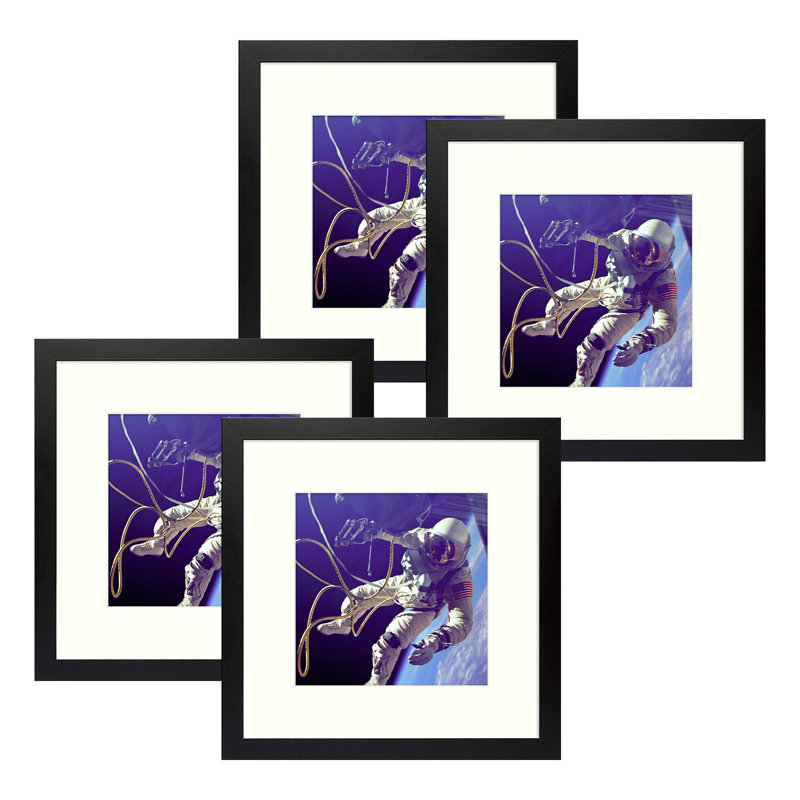 Cadres photos muraux Matte Gallery - Basics by Wayfair ™, Noir, 12 po x 12 po emmêlé à 8 po x 8 po