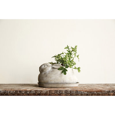 Cement Rabbit Planter with Saucer Set