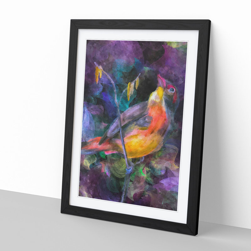 Colourful Bird - Picture Frame Graphic Art, 48cm H x 36cm W x 2cm D, Black Framed
