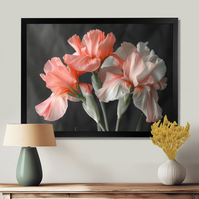 Rose, noir, jardin, glamour, iris - iris, art mural