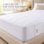 Protège-matelas matelassé en coton à densité de tissage 300 fils Continental Bedding Harmony-773567220