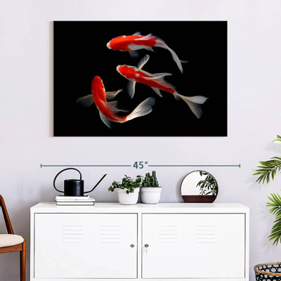 Brampt Koi Fish Trio