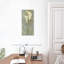 Calla Lily II-2110254201