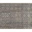 Oriental Area Rug in Brown