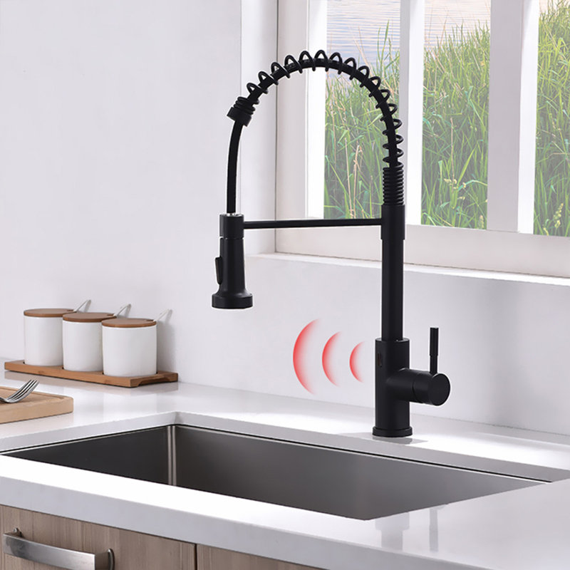 Robinet de cuisine sans contact, mains libres, noir, Noir