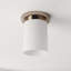 Nina 1 - Light Flush Mount