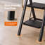 Carbon Steel Step Ladder