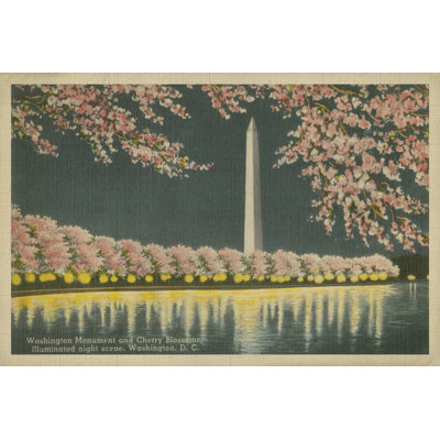 Washington Monument At Night - Wrapped Canvas Painting