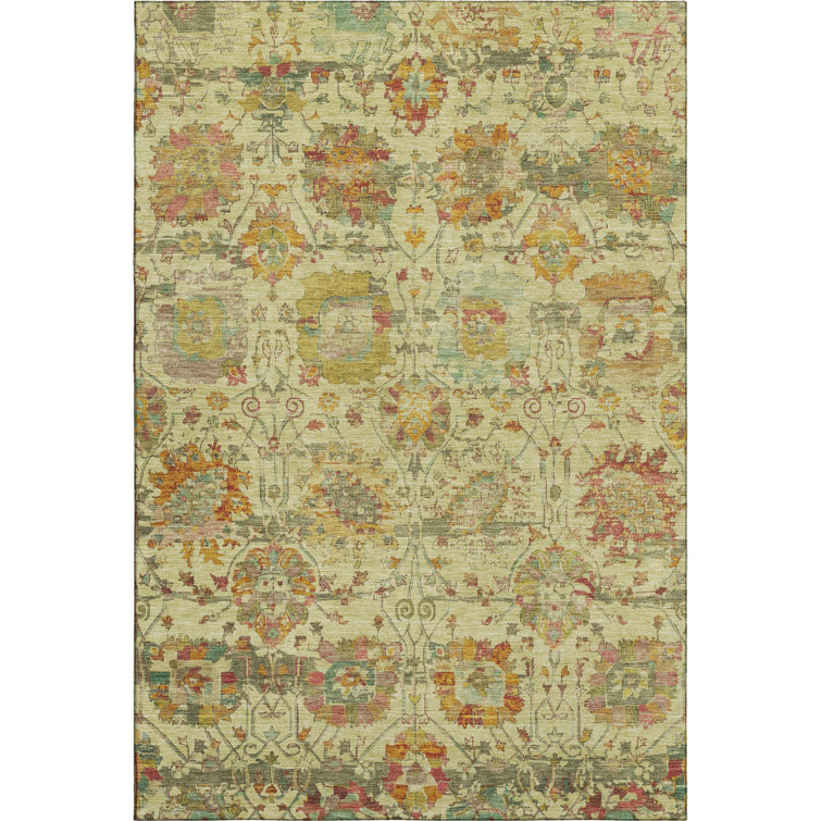 Premium Machine Washable Lucchesi AMF1732 Global Rug