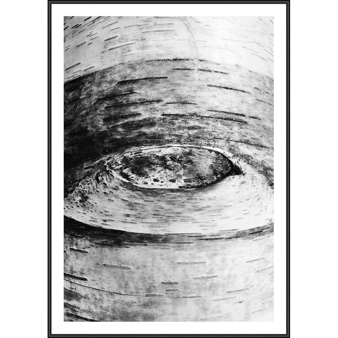 Single Picture Frame Print