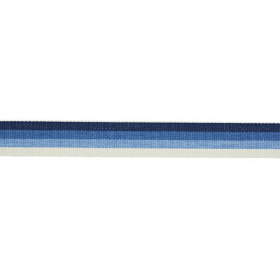 Ombre Tape Indoor/Outdoor