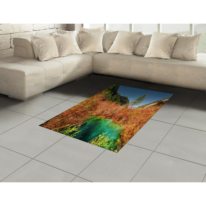 Nature High Density Long Fiber Poly Threads Decorative Area Rug Carpet, Rectangle 4' x 5'8"