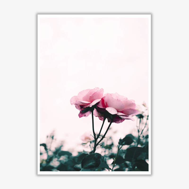 Rose - Print, 42 cm H x 30 cm W x 1 cm D, No Frame