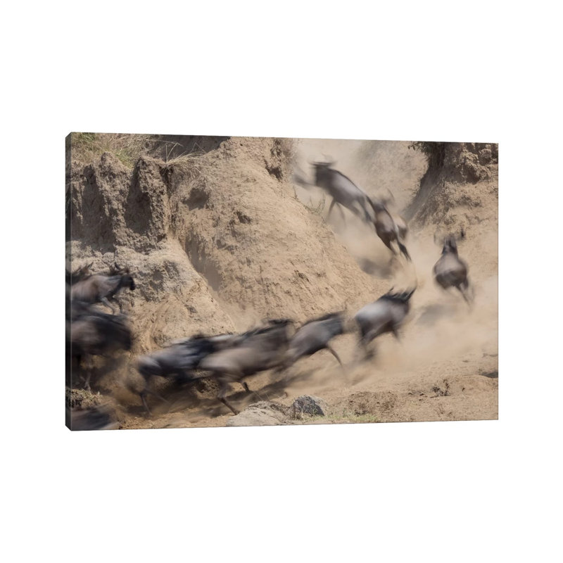 Africa, Kenya by Jaynes Gallery - Wrapped Canvas Print, 45.72cm H x 66.04cm W x 1.905cm D