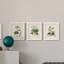Antique Turpin Botanical I - ensemble de 3 peintures sur toile encadrées-1376143489-1376143494