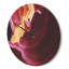 Horloge murale mauve en bois d'antilope-63617858