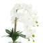 Orchidées disposées dans un vase en verre avec des pierres-1496226640