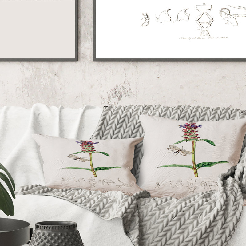 Housse et insert de coussin carré Insectes et plantes II, 16" x 16"