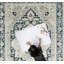 Tapis oriental lavable à la machine Amaresh-1319481434