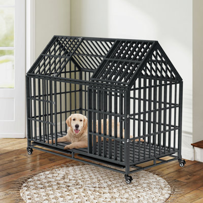 Cage pour chien robuste 52 po avec toit