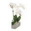 Orchid Faux Floral Arrangement in Pot