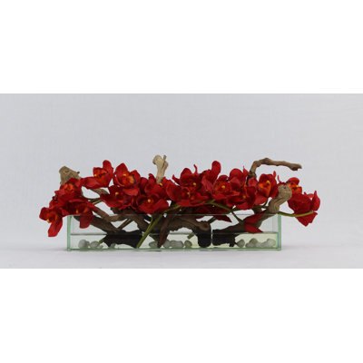 Arrangement in Planter