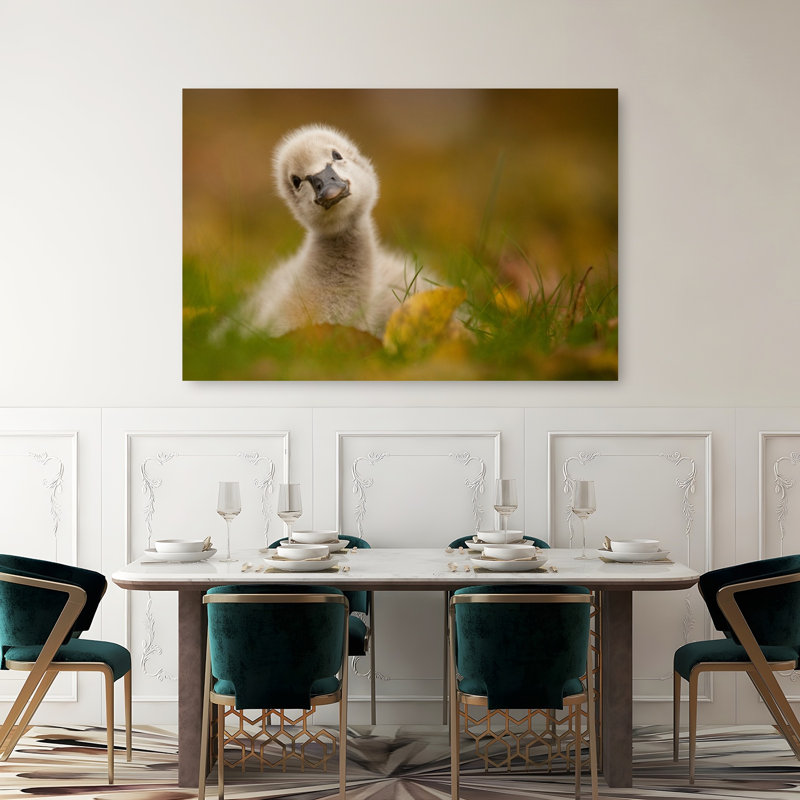 Curious Baby Swan Peaceful Abstract Contemporary Bird Autumn Nature Wall Art Print by Robert Adamec - Wrapped Canvas Print