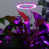 Purple est en rupture de stock