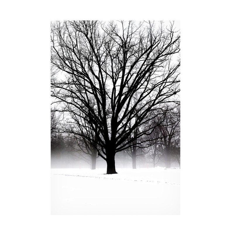 «Kriztian High Contrast Tree In Winter On Canvas» par Clive Branson, reproduction, H 19 po x l 12 po x P 2 po