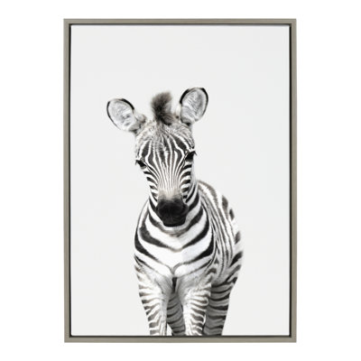 "Animal Studio Zebra" par Amy Peterson, reproduction d'art sur toile encadrée