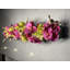 Casa Arrangement-515951828