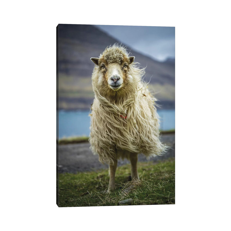 The Sheep by Anders Jorulf - Wrapped Canvas Gallery-Wrapped Canvas Giclée, 152.5 cm H x 101.5 cm W