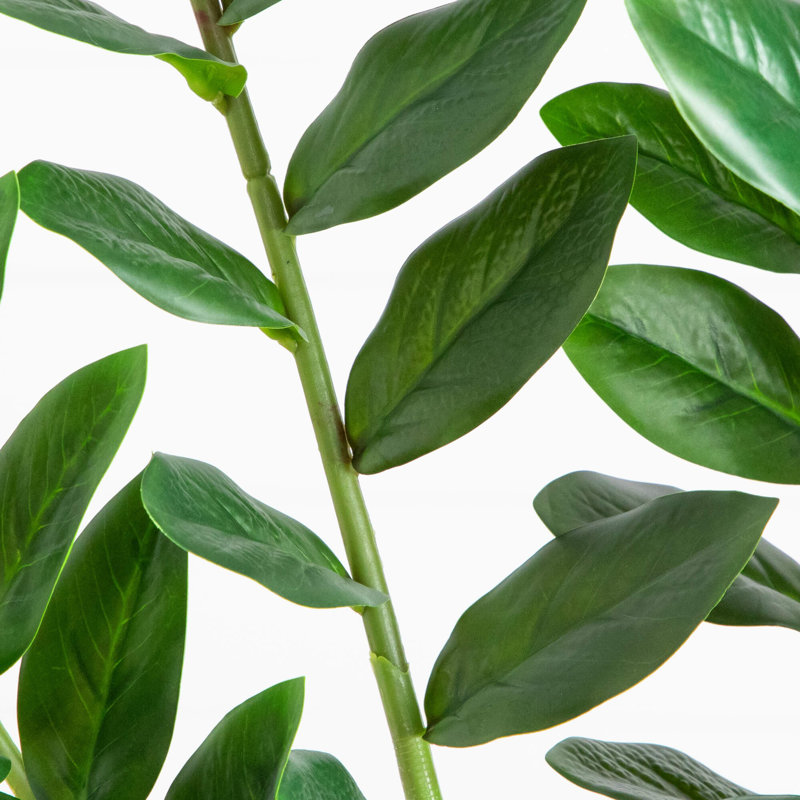 Zamioculcas artificiel, H 72 po x l 16 po x P 16 po