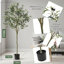 Plant-1480629304
