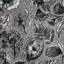 Pepper Embossed Wild Flower Felice Wallpaper Roll-322731325