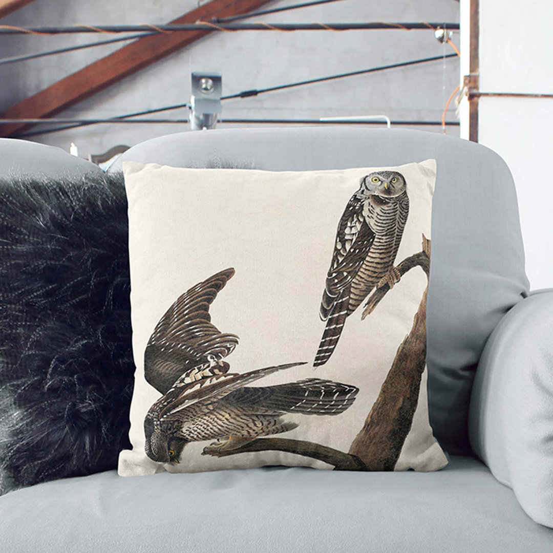 Hawk Owls by John James Audubon Cushion with Filling