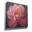  «Vivid Floral 1» par Danhui Nai, art mural sur toile