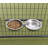 Lucky Dog Pet Bowl