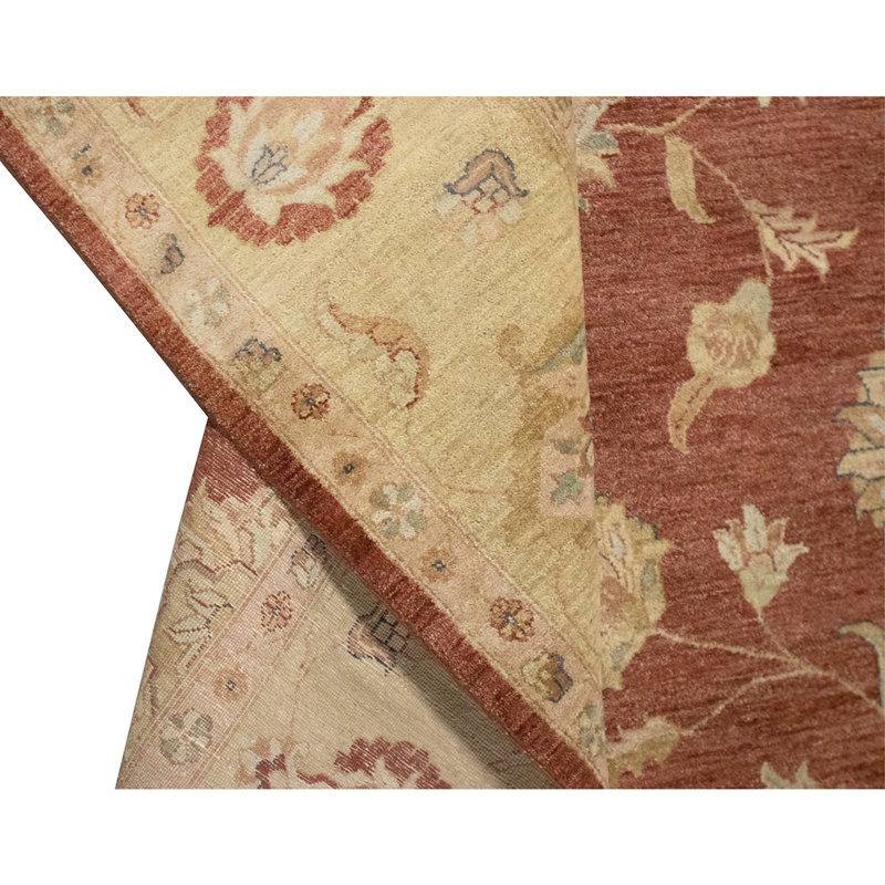 Hand Knotted Wool Oriental Area Rug in Rust And Gold