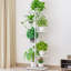 Plant Stand-1982208681