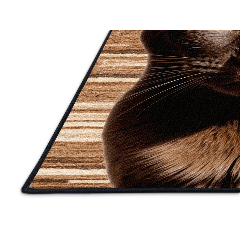 Tapis lavable brun Havana, Rectangulaire 8 pi x 10 pi