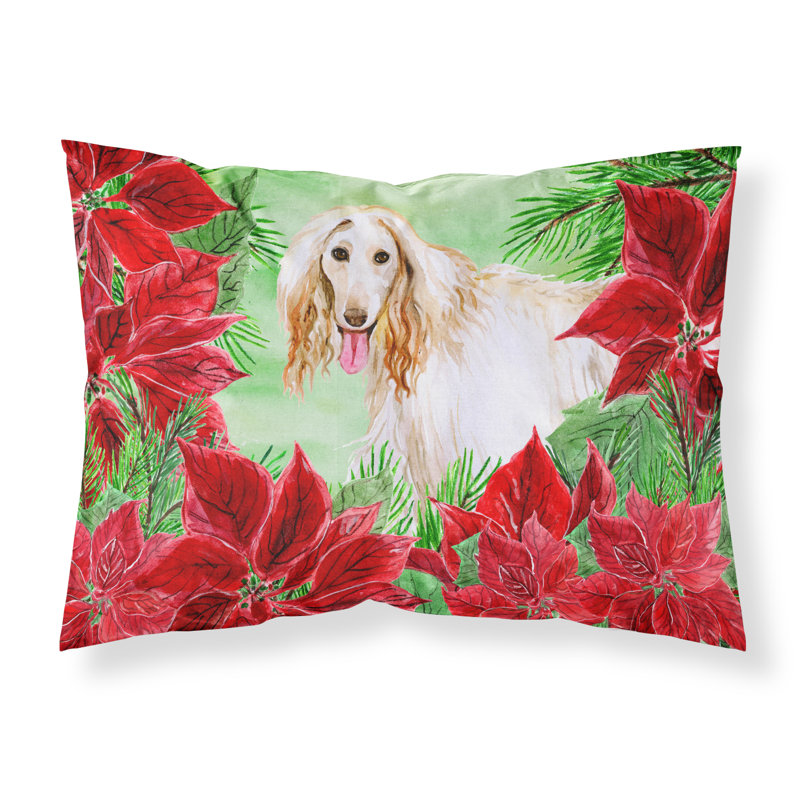 Microfiber, Afghan Hound